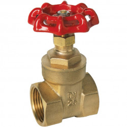 1/2" Gate Valve