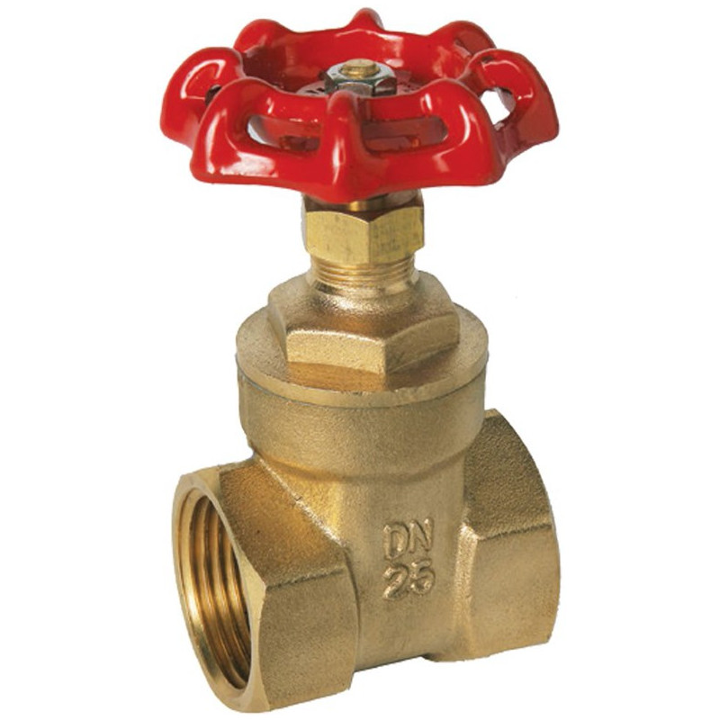 1/2" Gate Valve