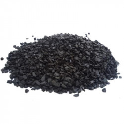 10" carbon filter granular GAC