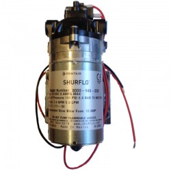 100 PSI Shurflo 12V delivery pump 5L/min female ports